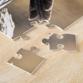 Sunlit Profile of a Male Northern Harrier Legpuzzel (Zijkant)