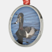 Sunlit Profile of a Ring-Necked Duck Metalen Ornament (Links)