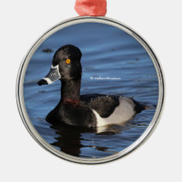 Sunlit Profile of a Ring-Necked Duck Metalen Ornament