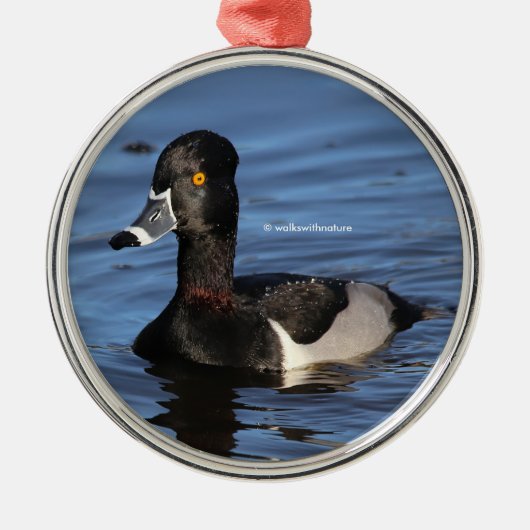 Sunlit Profile of a Ring-Necked Duck Metalen Ornament (Voorkant)