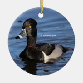 Sunlit Profile of a Ring-Necked Duck Metalen Ornament