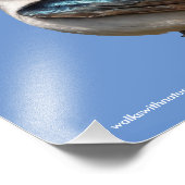 Sunlit Profile of a Tree Swallow Songbird Foto Afdruk (Hoek)