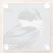 Sunlit Profile of a Tree Swallow Songbird Glazen Onderzetter (Achterkant)