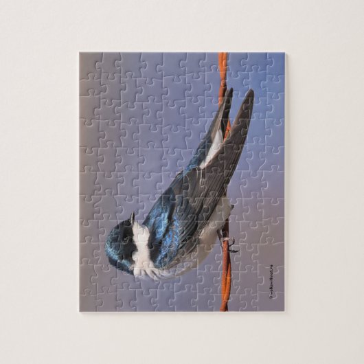 Sunlit Profile of a Tree Swallow Songbird Legpuzzel (Verticaal)