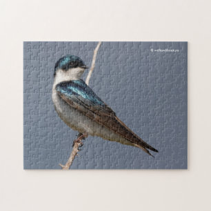 Sunlit Profile of a Tree Swallow Songbird Legpuzzel