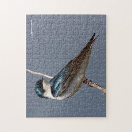 Sunlit Profile of a Tree Swallow Songbird Legpuzzel (Verticaal)