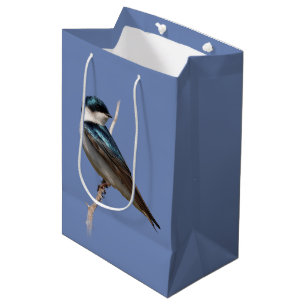 Sunlit Profile of a Tree Swallow Songbird Medium Cadeauzakje