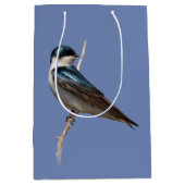 Sunlit Profile of a Tree Swallow Songbird Medium Cadeauzakje (Voorkant)