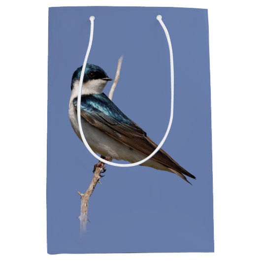 Sunlit Profile of a Tree Swallow Songbird Medium Cadeauzakje (Voorkant)
