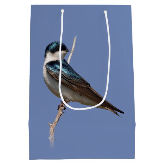 Sunlit Profile of a Tree Swallow Songbird Medium Cadeauzakje (Achterkant)