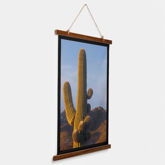 Sunlit Saguaro Cactus Hangend Wandkleed (Gebogen)