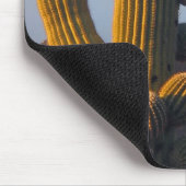 Sunlit Saguaro Cactus - Mousepad Muismat (Hoek)