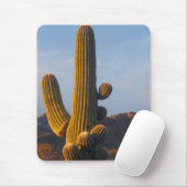 Sunlit Saguaro Cactus - Mousepad Muismat (Met muis)