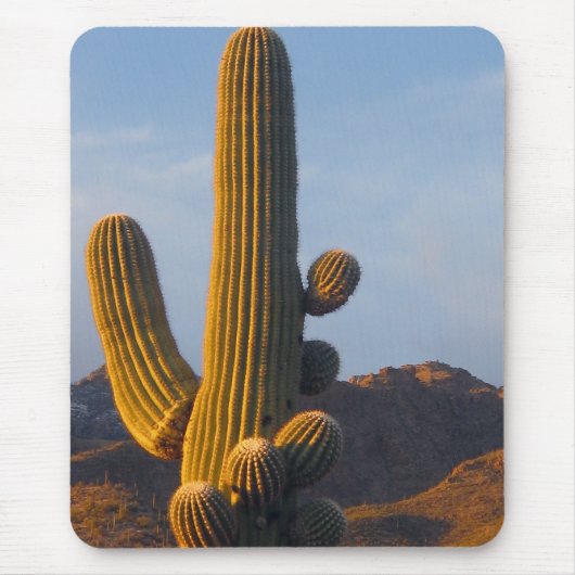 Sunlit Saguaro Cactus - Mousepad Muismat (Voorkant)