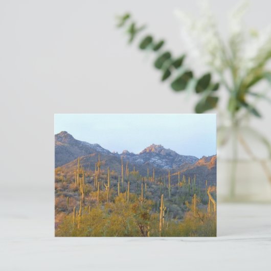 Sunlit Saguaro Field Briefkaart (Staand voorkant)