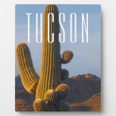 Sunlit Saguaro Tucson Scene Fotoplaat (Voorkant)