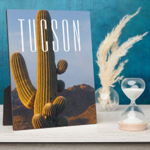 Sunlit Saguaro Tucson Scene Fotoplaat