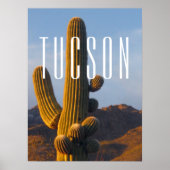 Sunlit Saguaro Tucson Scene Poster (Voorkant)