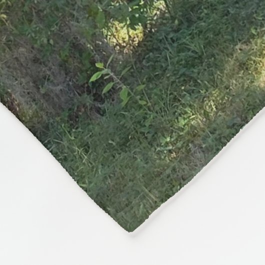 Sunlit Spanish Moss Fleece Deken (Hoek)