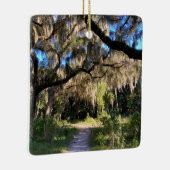 Sunlit Spanish Moss Keramisch Ornament (Rechts)