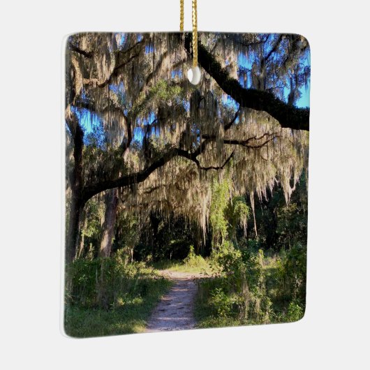 Sunlit Spanish Moss Keramisch Ornament (Rechts)