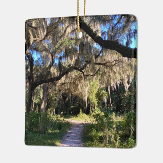 Sunlit Spanish Moss Keramisch Ornament (Links)