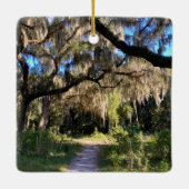 Sunlit Spanish Moss Keramisch Ornament (Achterkant)