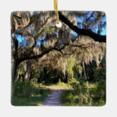 Sunlit Spanish Moss Keramisch Ornament (Voorkant)