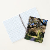 Sunlit Spanish Moss Notitieboek (Binnen)