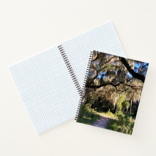 Sunlit Spanish Moss Notitieboek (Binnen)