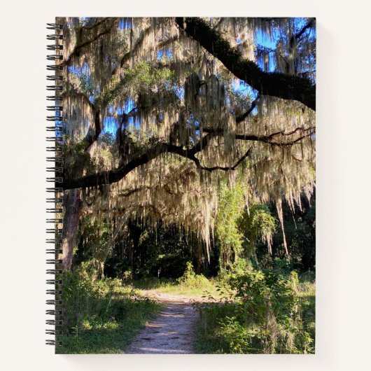 Sunlit Spanish Moss Notitieboek (Voorkant)