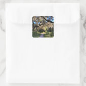 Sunlit Spanish Moss Vierkante Sticker (Tas)