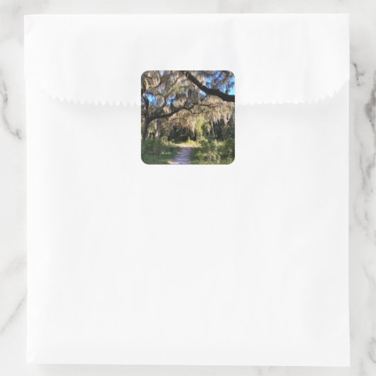 Sunlit Spanish Moss Vierkante Sticker (Tas)