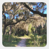 Sunlit Spanish Moss Vierkante Sticker (Voorkant)