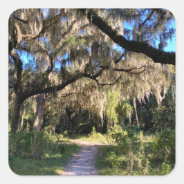 Sunlit Spanish Moss Vierkante Sticker