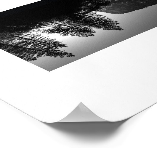 Sunlit Trees Yosemite Reflection Photography Poster (Hoek)