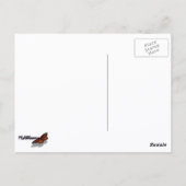 Sunlit White Azaleas Beauful Spring Flowers Briefkaart (Achterkant)