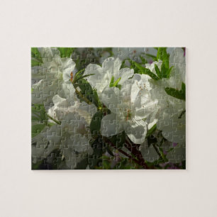 Sunlit White Azaleas Beauful Spring Flowers Legpuzzel