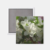 Sunlit White Azaleas Beauful Spring Flowers Magneet (Voorkant / Achterkant)