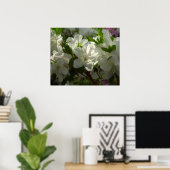 Sunlit White Azaleas Beauful Spring Flowers Poster (Thuiskantoor)