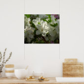 Sunlit White Azaleas Beauful Spring Flowers Poster (Keuken)
