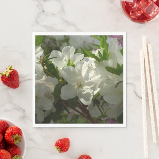 Sunlit White Azaleas Beauful Spring Flowers Servet (Insitu)