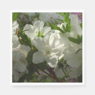 Sunlit White Azaleas Beauful Spring Flowers Servet