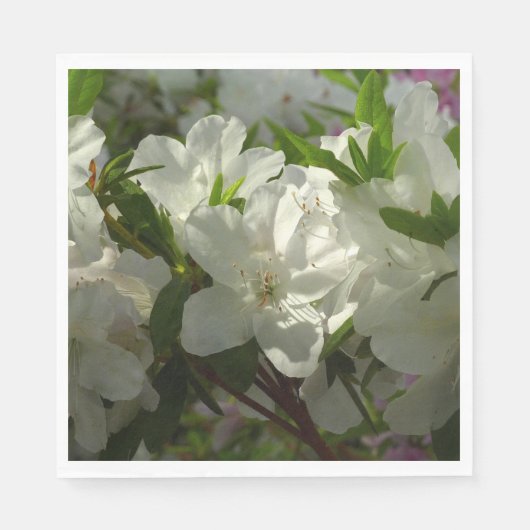 Sunlit White Azaleas Beauful Spring Flowers Servet (Voorkant)