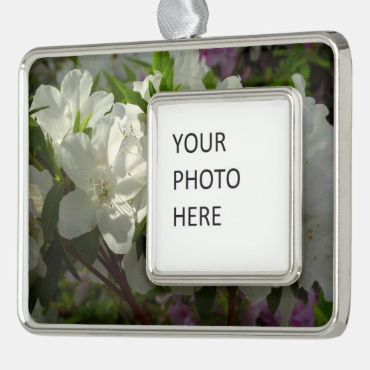 Sunlit White Azaleas Beauful Spring Flowers Verzilverd Omlijst Ornament (Links)