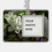Sunlit White Azaleas Beauful Spring Flowers Verzilverd Omlijst Ornament (Voorkant)