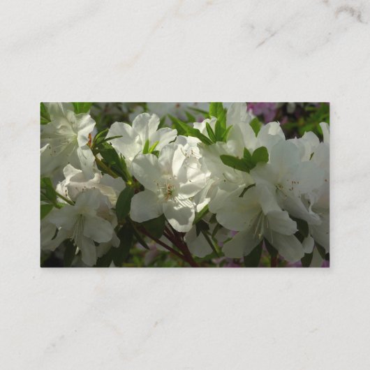 Sunlit White Azaleas Beauful Spring Flowers Visitekaartje (Achterkant)