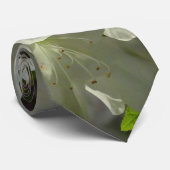 Sunlit White Azaleas Beautiful Spring Flowers Stropdas (Opgerold)