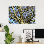 Sunlit Winter Branches Poster (Thuiskantoor)