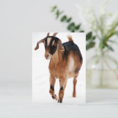 Sunni Dashin' in de sneeuw Briefkaart (Staand voorkant)